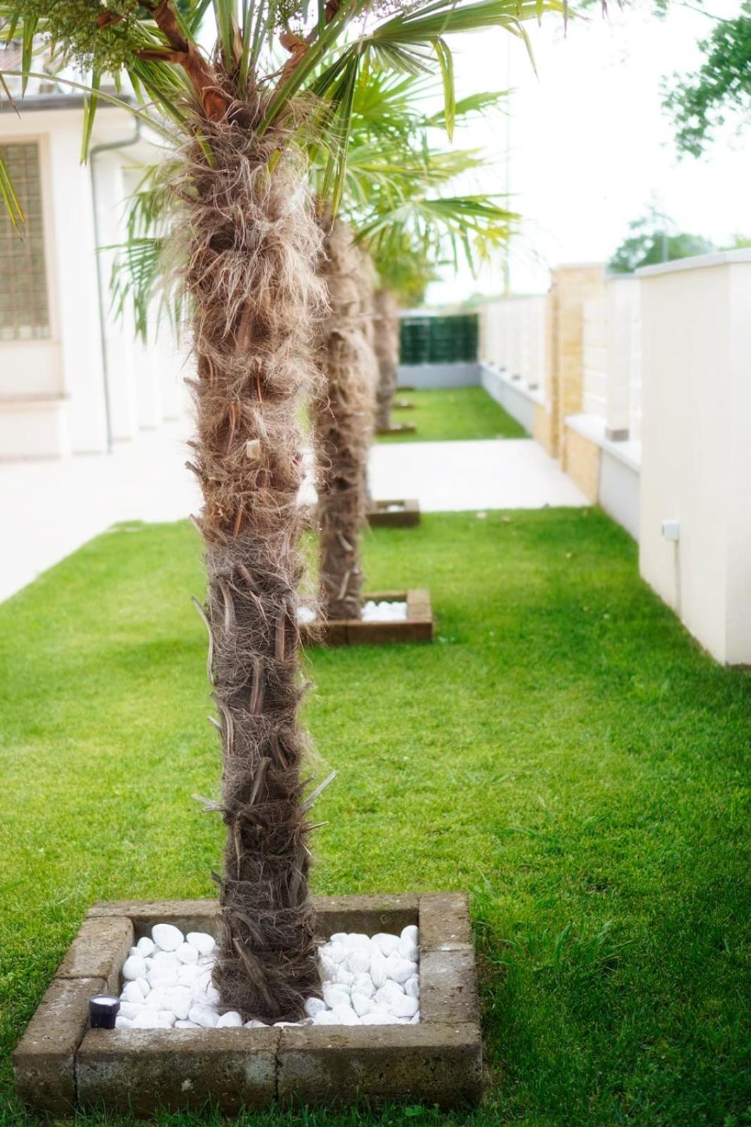 Residence Deamarina Marina di Massa Ngoại thất bức ảnh