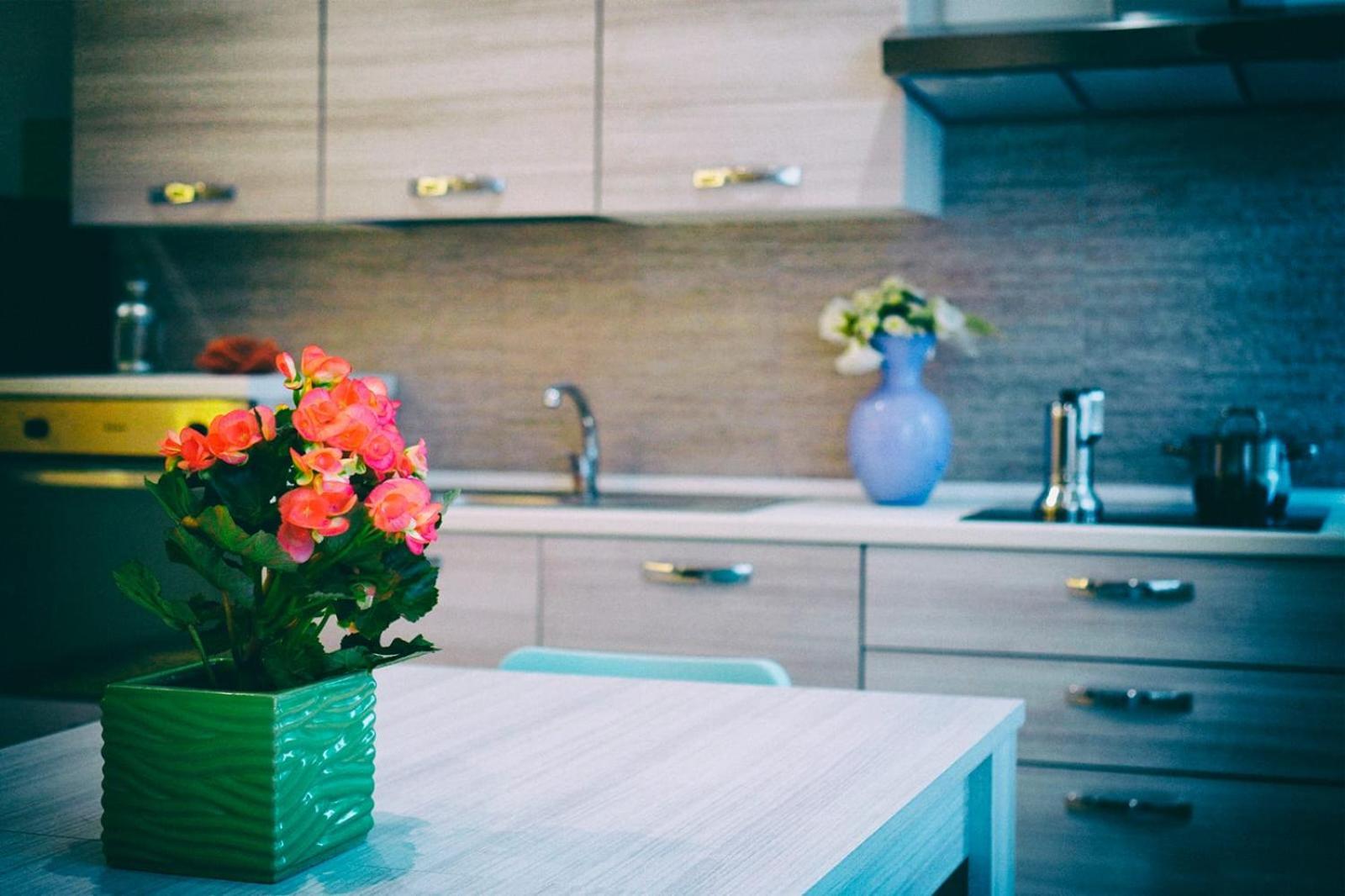 Residence Deamarina Marina di Massa Ngoại thất bức ảnh